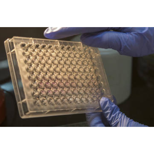 ELISA  AChR alpha3 anti-