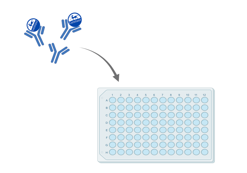 ELISA   ACAD8 Antibody, FITC  