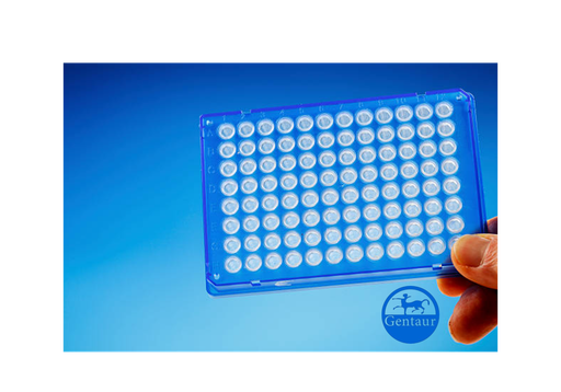 [CSB-PA000137] ELISA  Acetyl-UBA52|RPS27A|UBB|UBC (K27) anti-