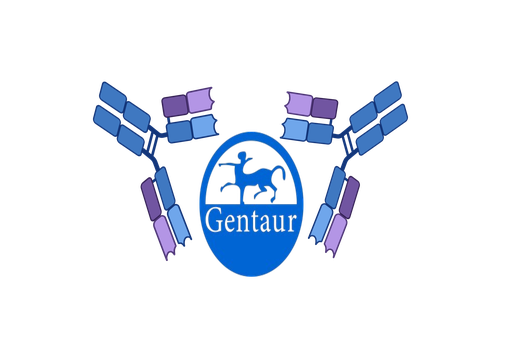 [GEN - TS2611] Anti-Coli O 9:K 35 monospecific