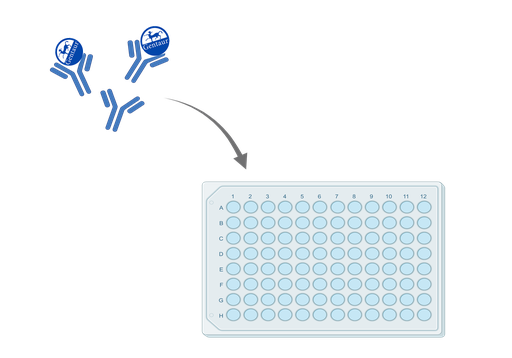 [CSB-PA001126LA01HU] ELISA   ACADM anti-